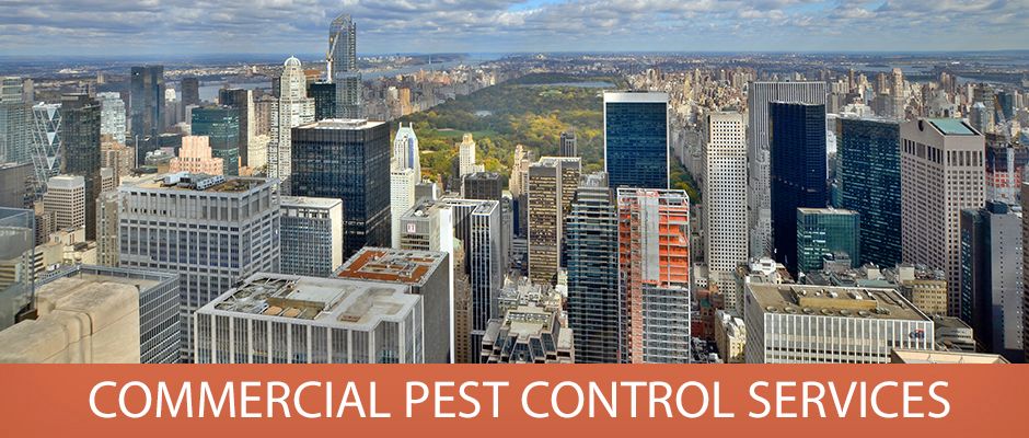 commercial-pest-control-services
