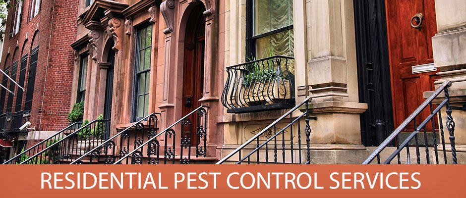 Residential Pest Control